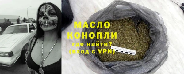 spice Богородицк