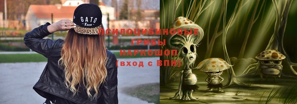 spice Богородицк