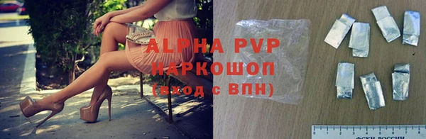 spice Богородицк