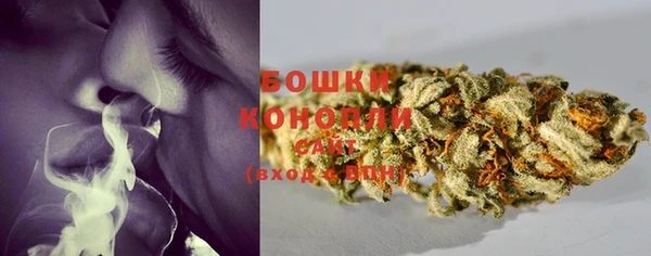 дмт Богданович