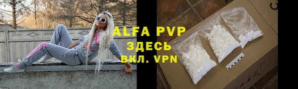 spice Богородицк