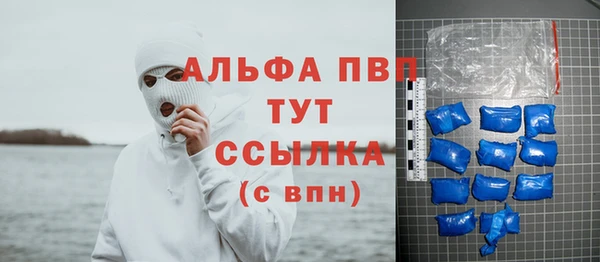 дмт Богданович