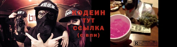 дмт Богданович