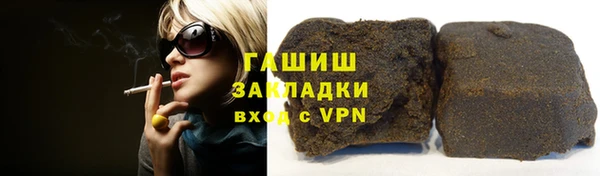 spice Богородицк