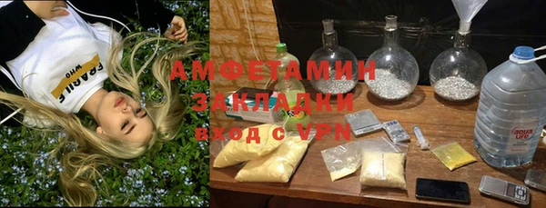 дмт Богданович