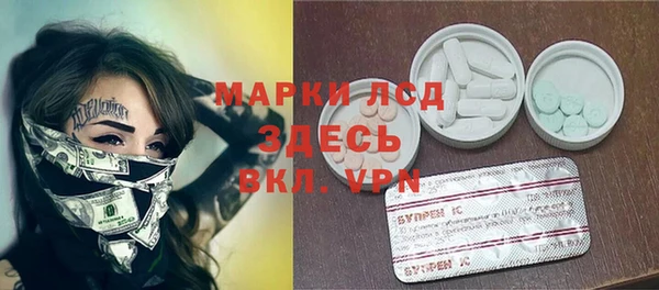 spice Богородицк