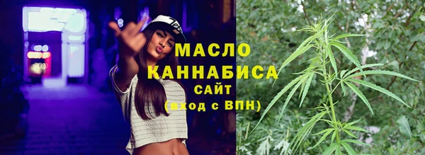 spice Богородицк