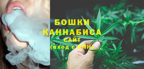 spice Богородицк